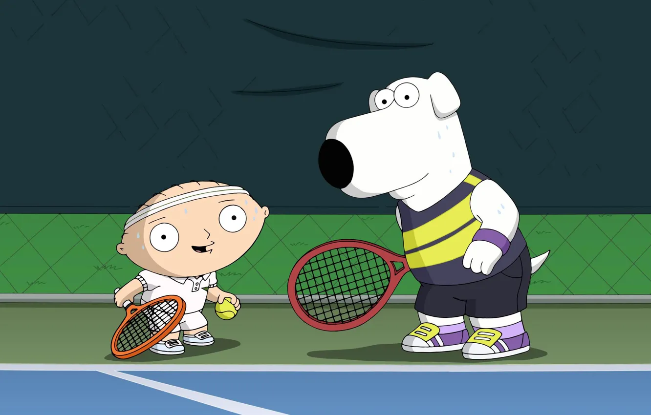 Photo wallpaper Family guy, Stewie, Tennis, Family Guy, Cartoon, Brian Griffin, Brian, Stewie