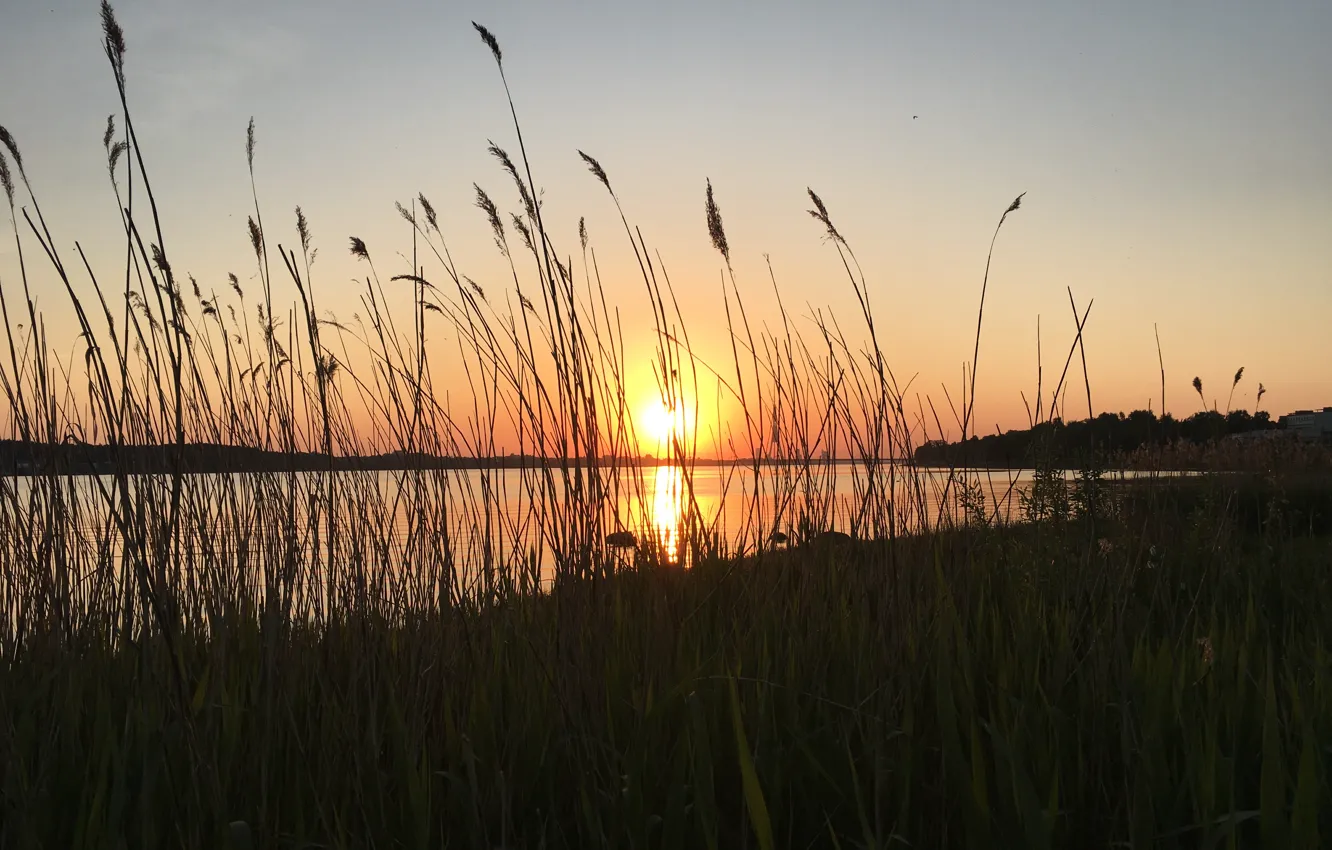 Photo wallpaper the sky, sunset, nature, beautiful sunset