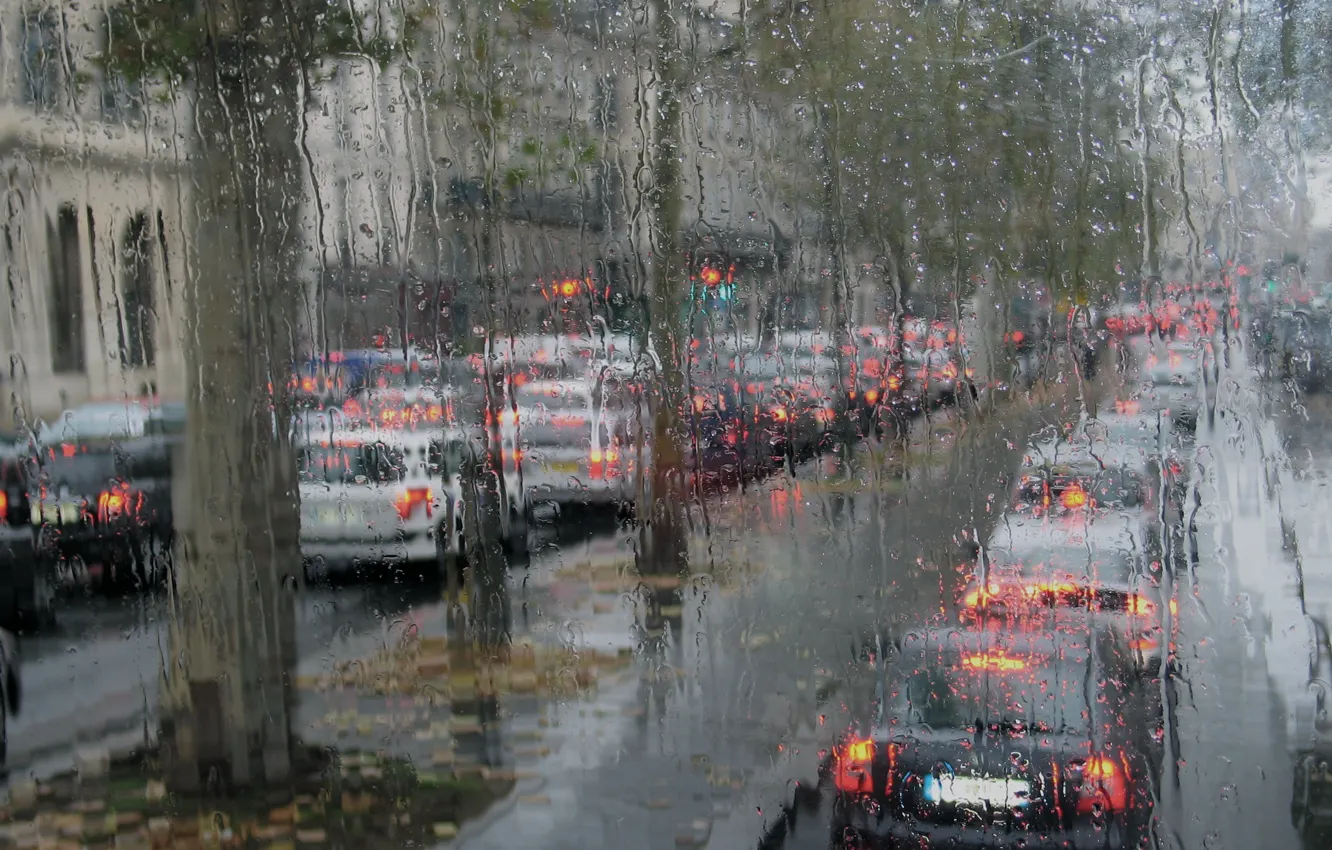 Photo wallpaper autumn, rain, Paris