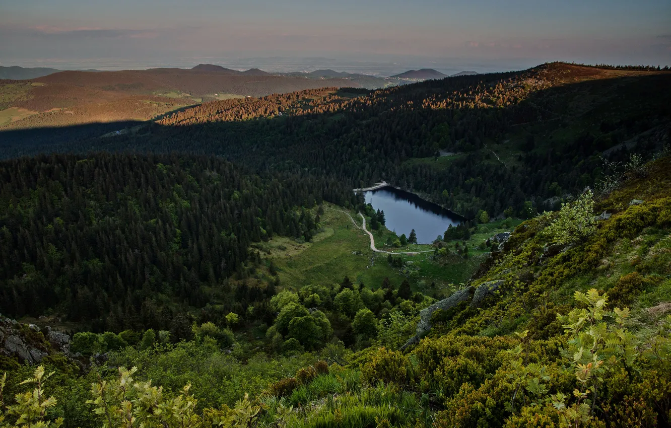 Photo wallpaper forest, mountains, lake, hills, view, height