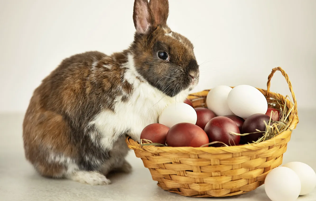 Photo wallpaper table, holiday, eggs, spring, rabbit, Easter, straw, white