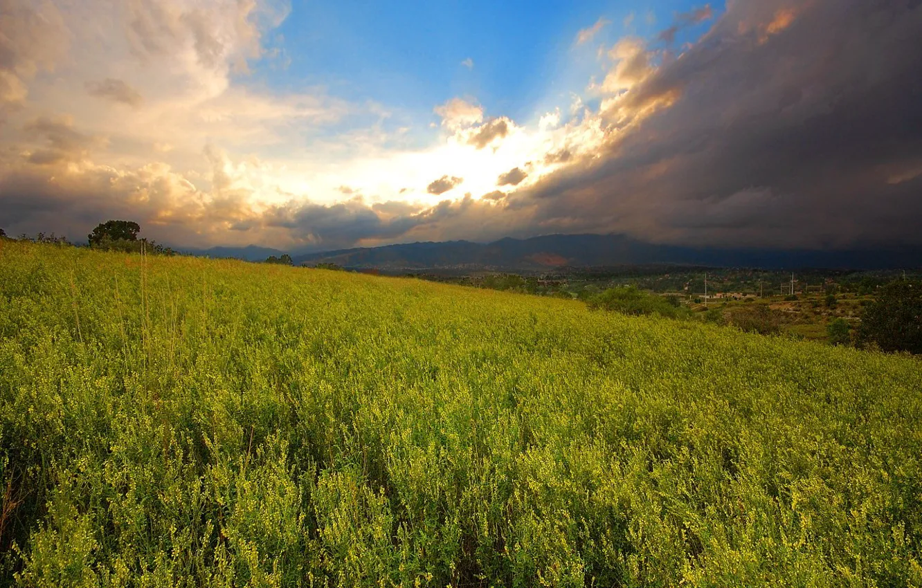 Photo wallpaper field, the sky, the sun, Wallpaper