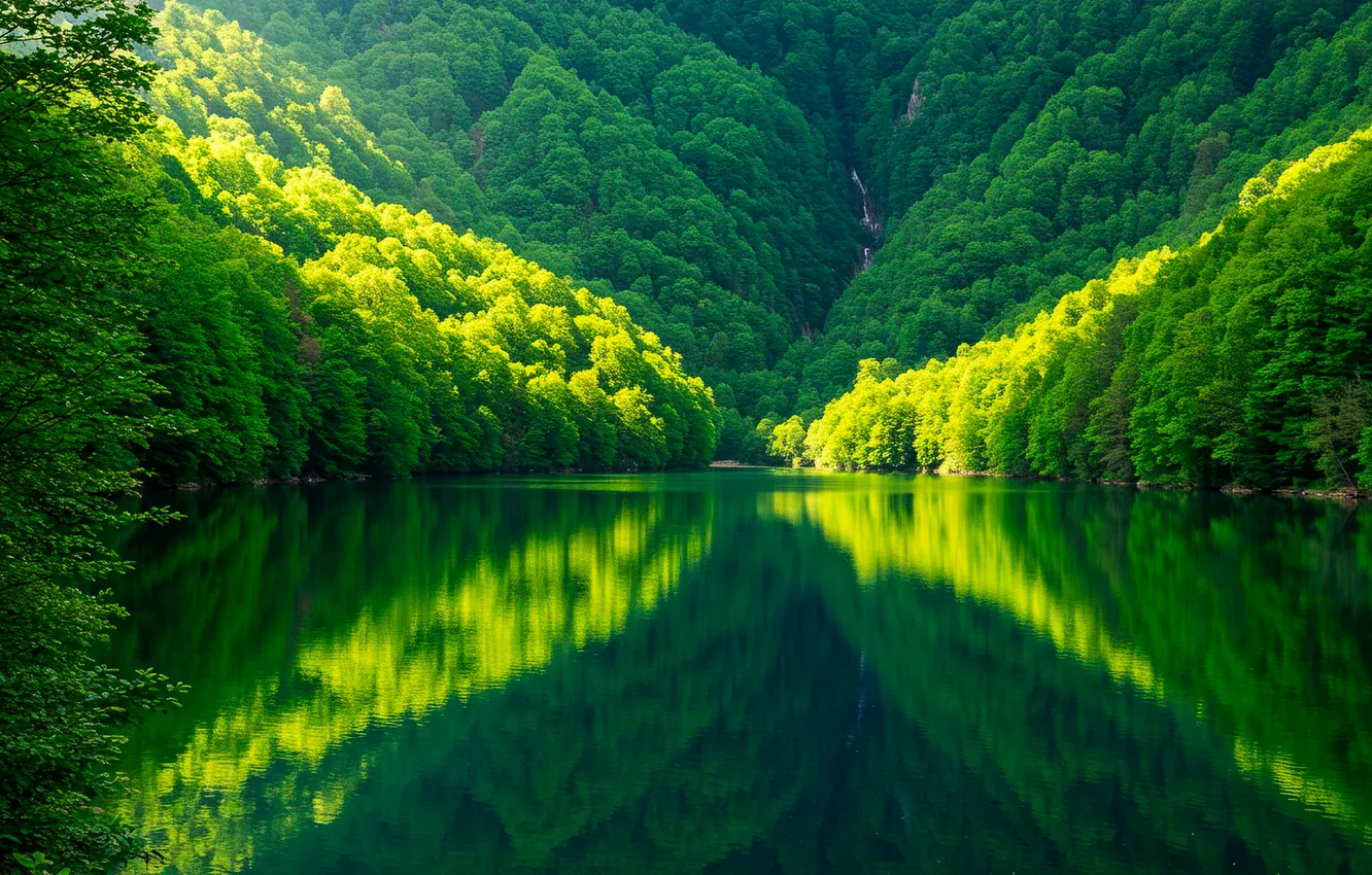 Photo wallpaper trees, mountains, nature, lake, reflection, Wallpaper, wallpaper, the bushes
