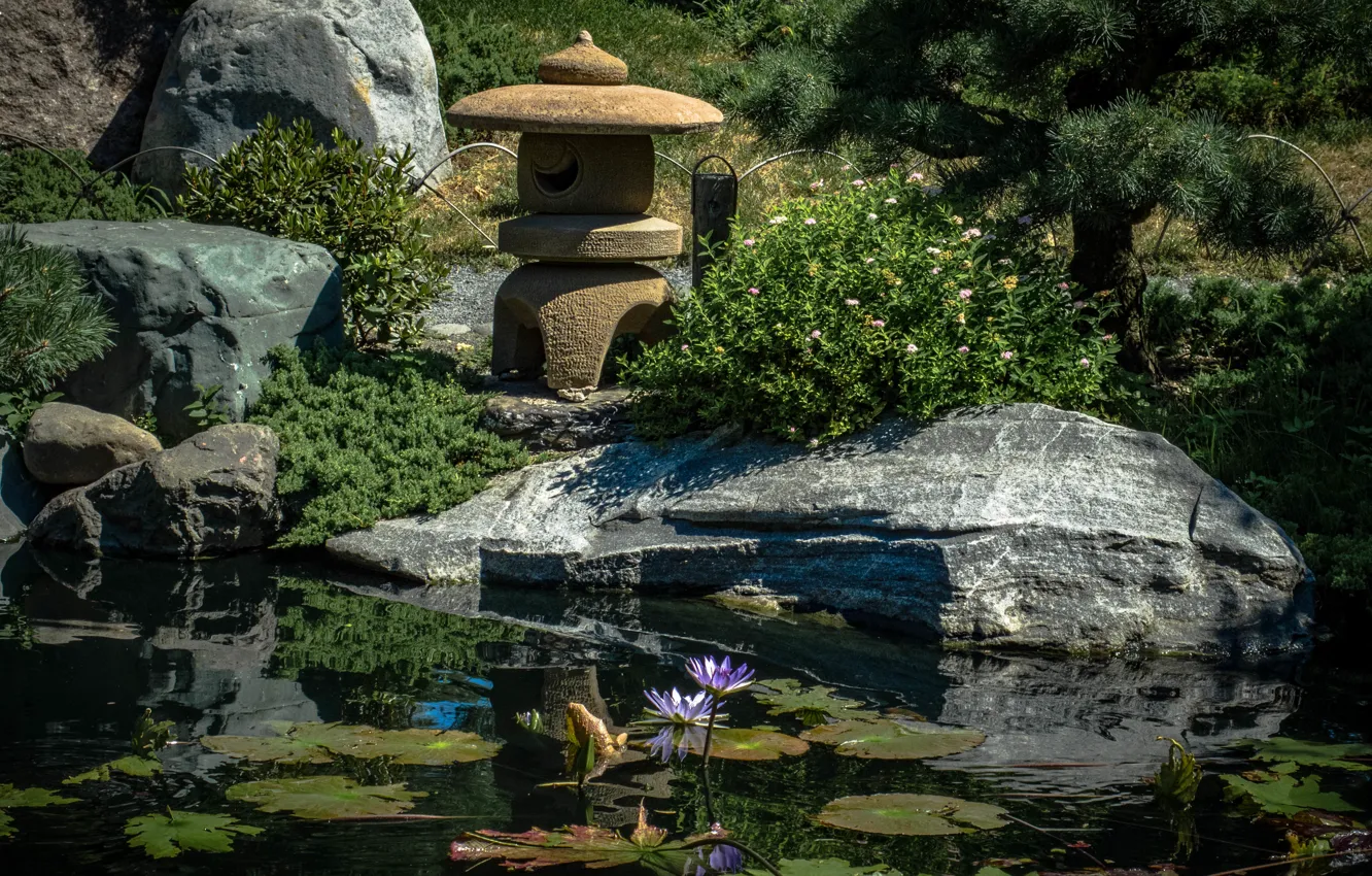 Photo wallpaper pond, stones, decor