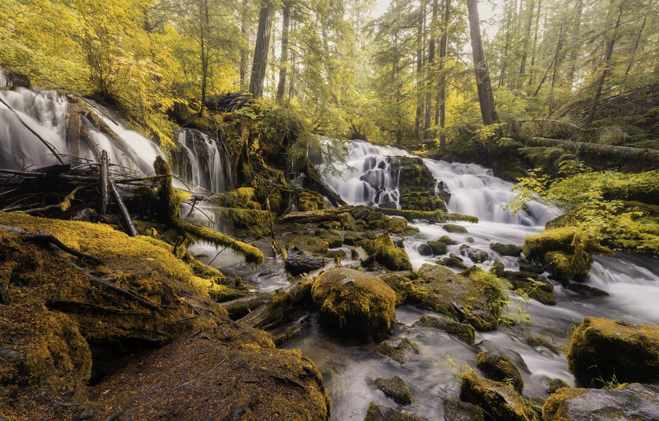 Photo wallpaper autumn, forest, river