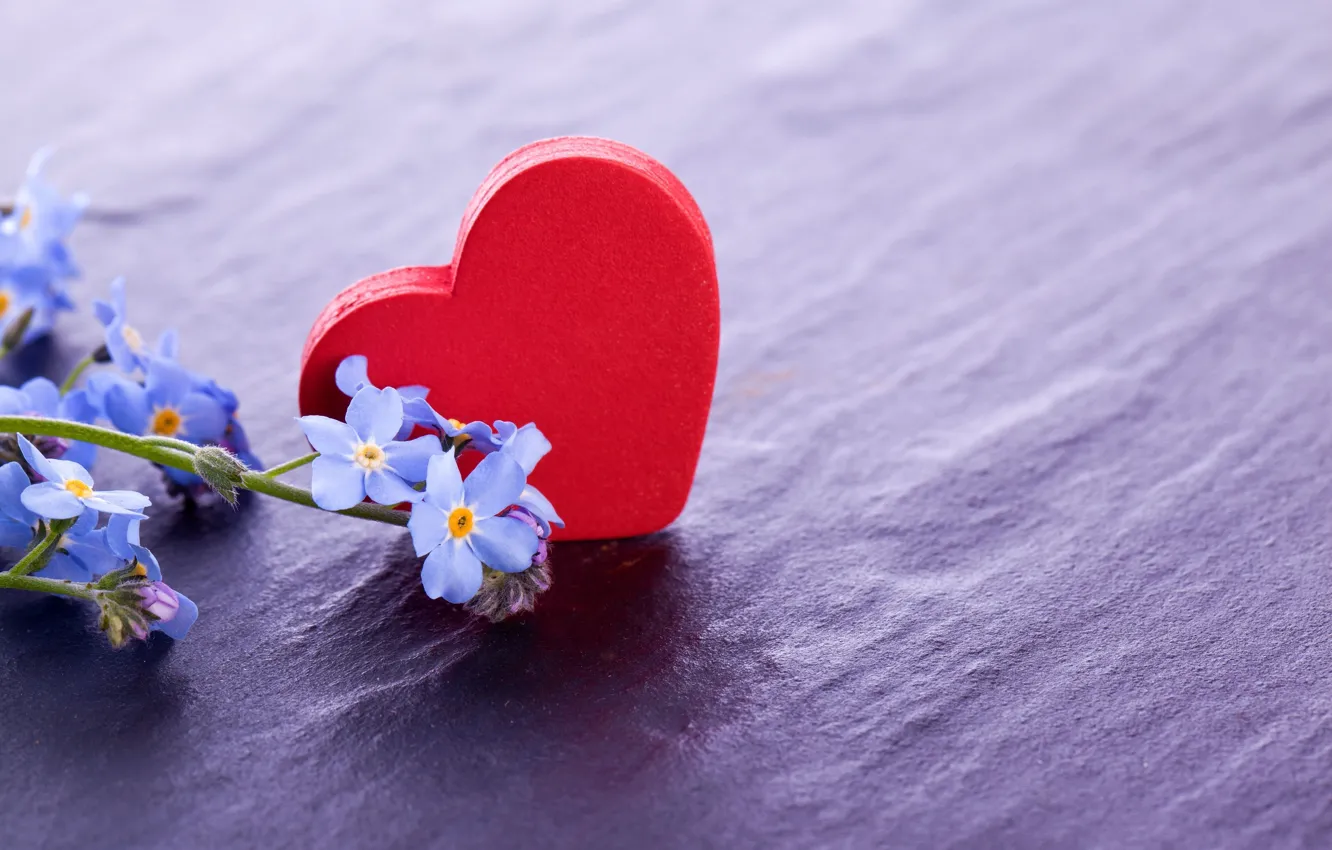 Photo wallpaper flowers, red, background, mood, widescreen, Wallpaper, heart, hearts