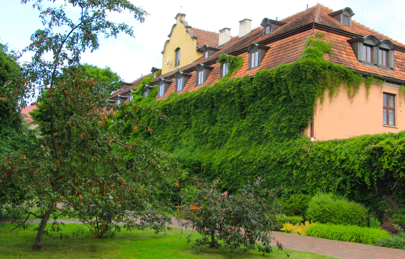 Photo wallpaper house, trees, park, plants