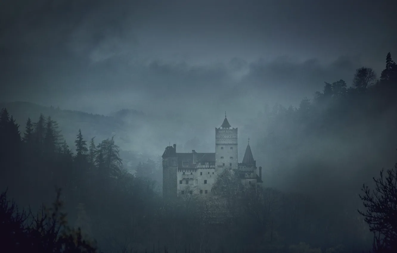 Photo wallpaper the sky, trees, fog, Romania, medieval architecture, Bran Castle