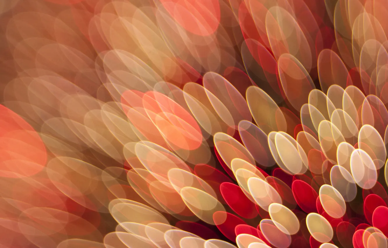 Photo wallpaper light, glare, color, the volume, oval