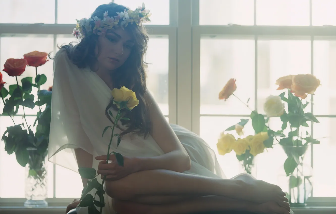 Photo wallpaper girl, roses, window
