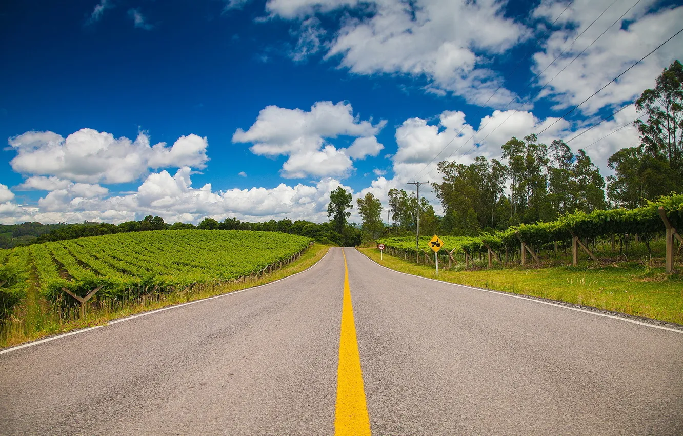 Photo wallpaper road, summer, landscape