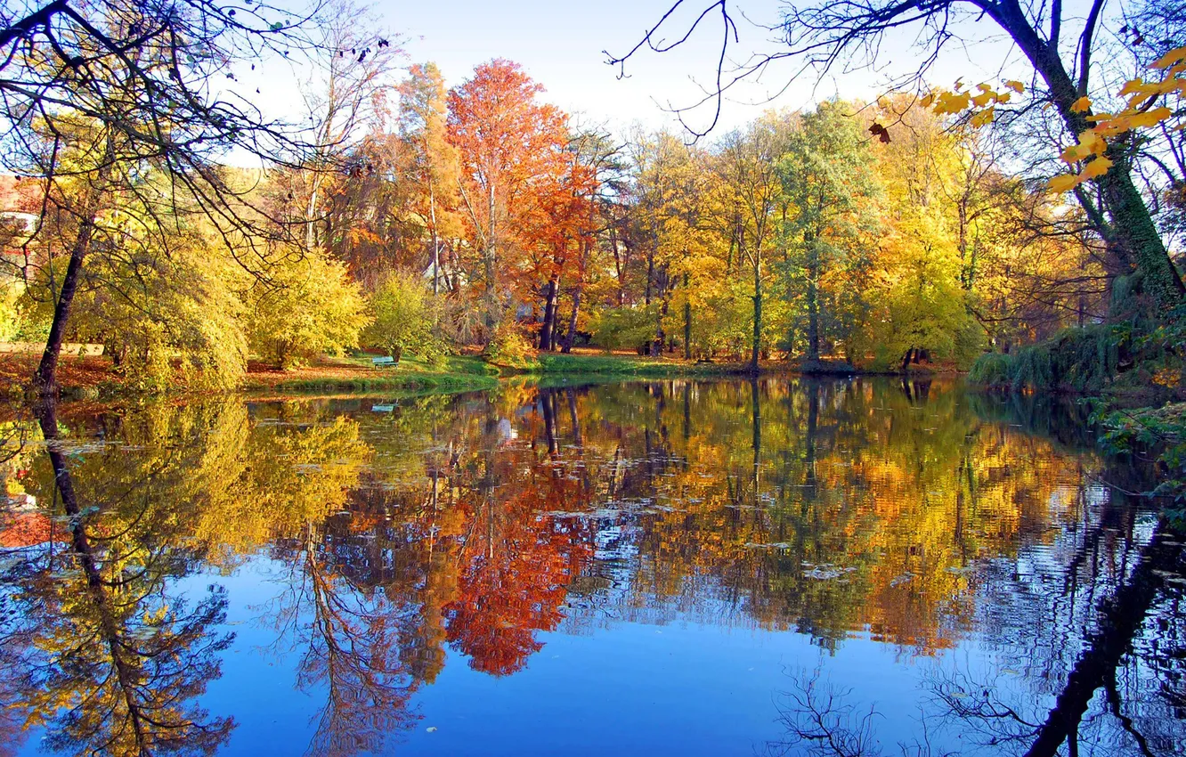 Photo wallpaper autumn, leaves, trees, bench, pond, Park, reflection