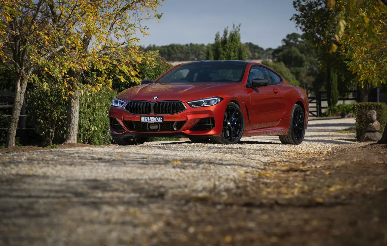 Photo wallpaper road, plant, coupe, BMW, 2018, 8-Series, 2019, dark orange
