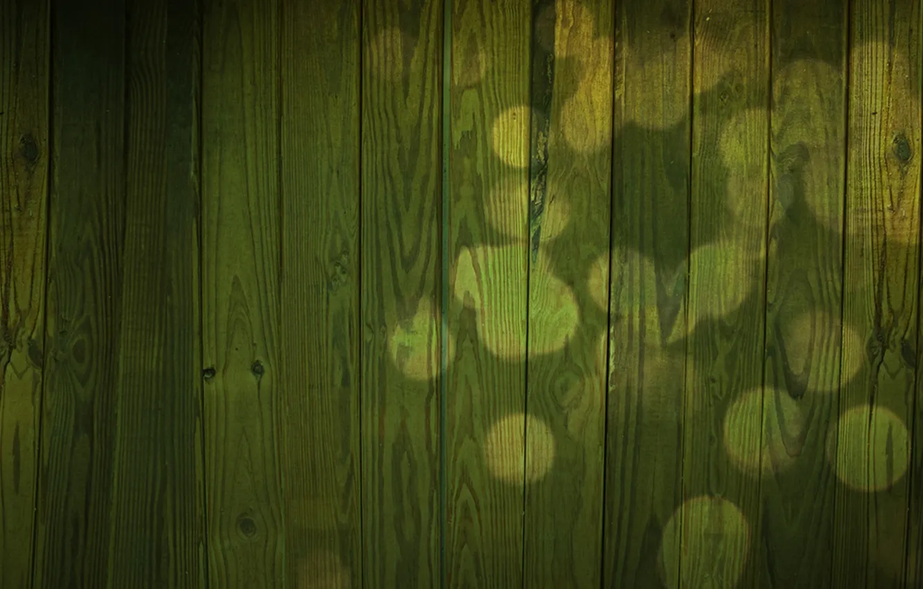Photo wallpaper trees, green, glare, wall, Board, texture