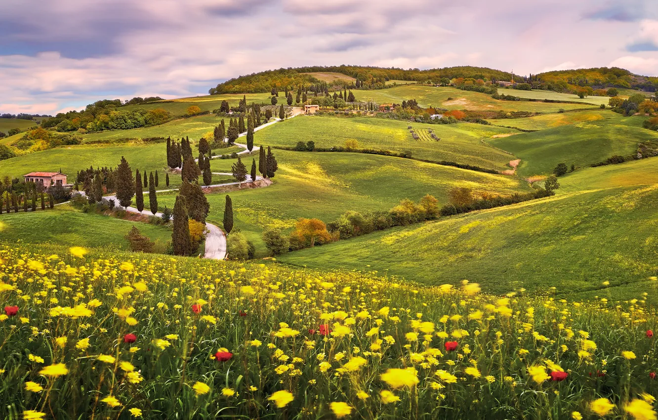 Photo wallpaper road, field, summer, flowers, mountains, hills, meadow, Italy