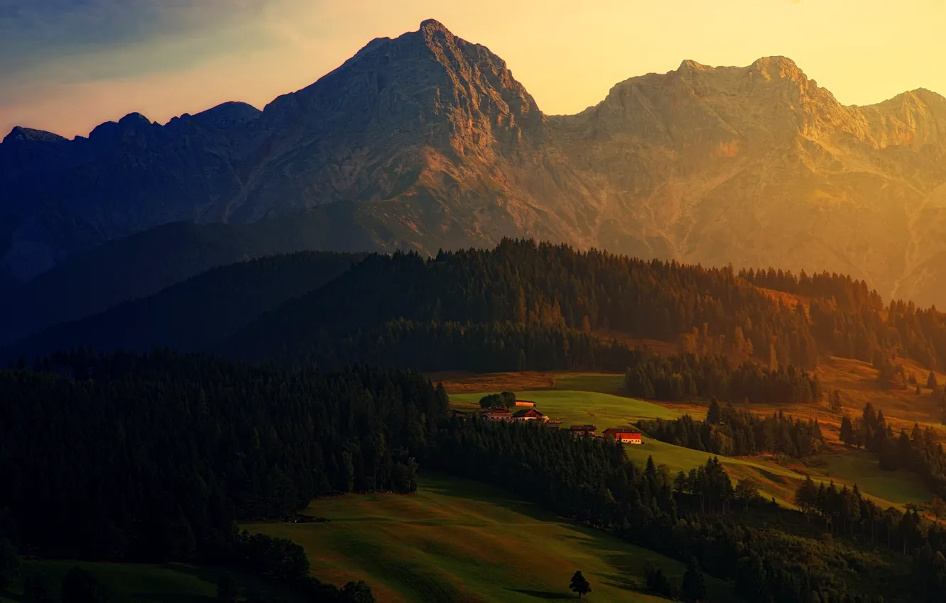 Photo wallpaper field, forest, landscape, sunset, mountains, nature, height, the evening