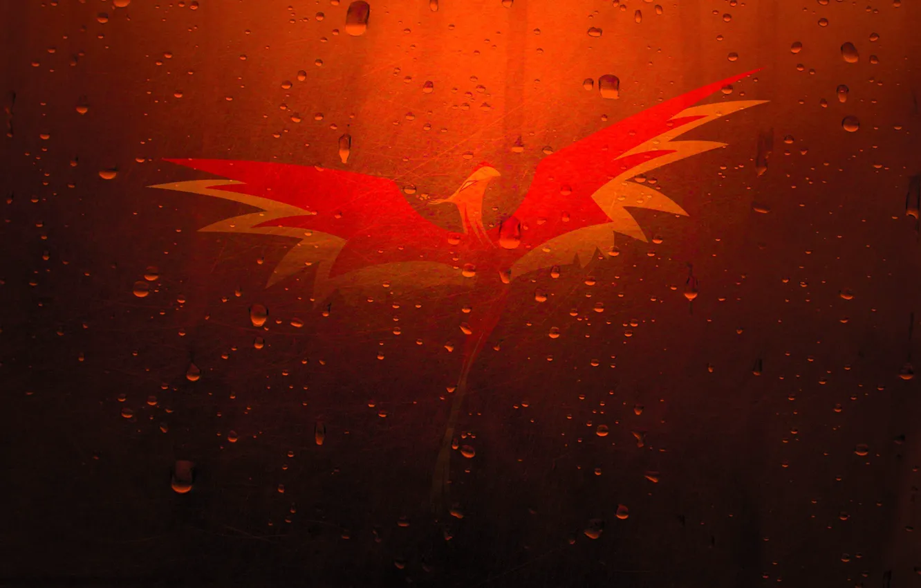 Photo wallpaper drops, bird, scratches