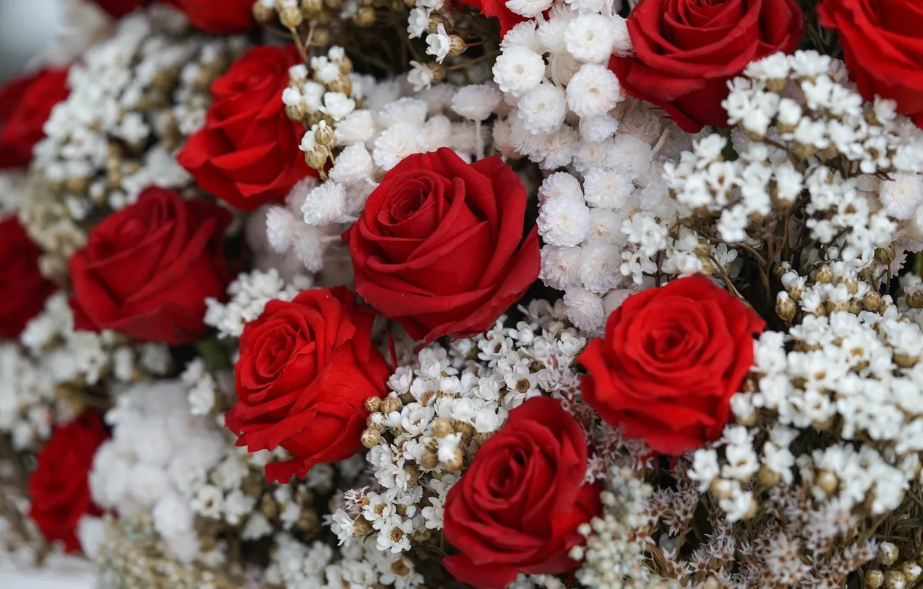 Photo wallpaper roses, bouquet, gypsophila