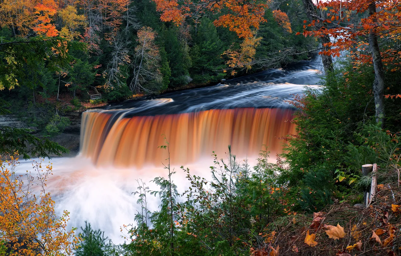 Photo wallpaper autumn, forest, trees, river, waterfall, Michigan, Michigan, Tahquamenon Falls State Park
