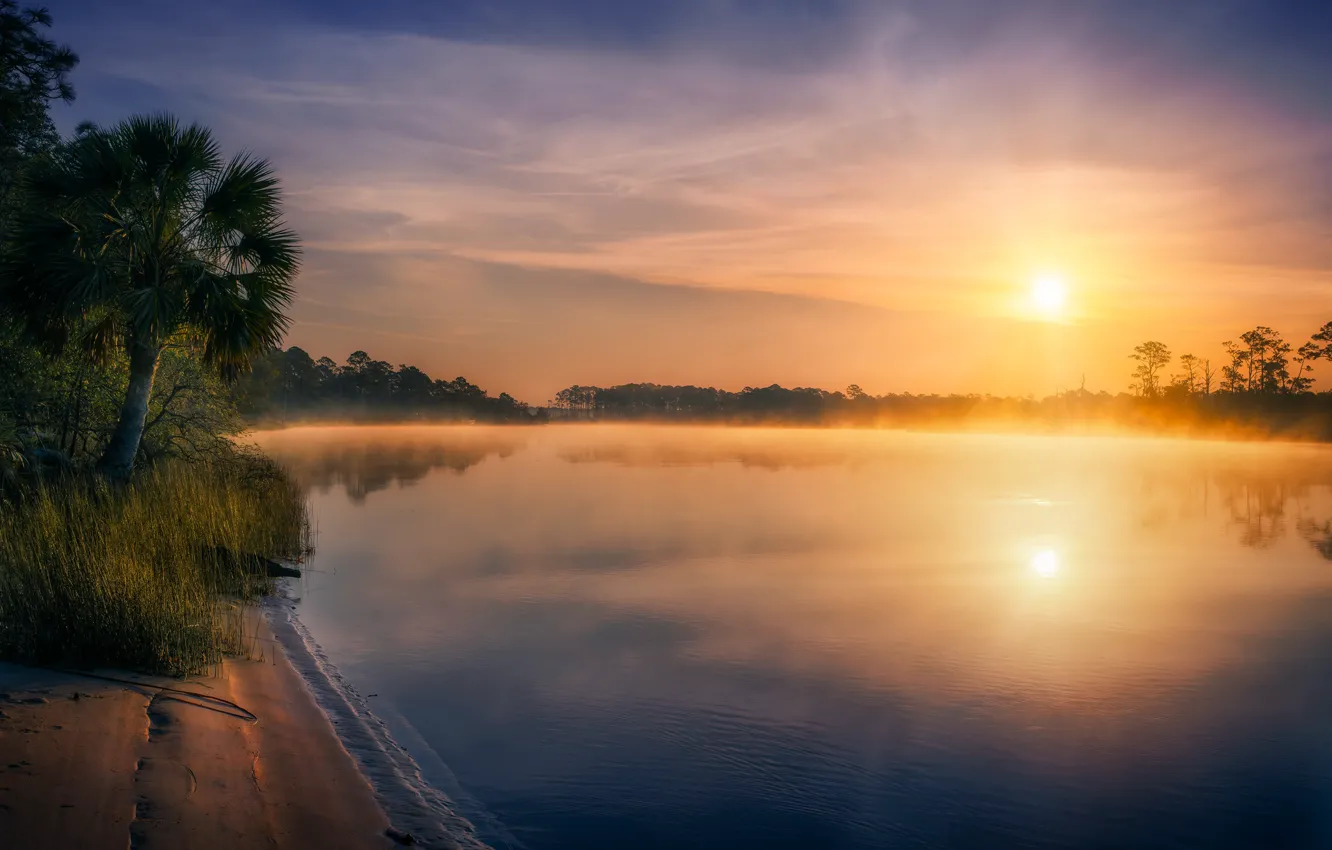 Photo wallpaper the sun, fog, shore, pond