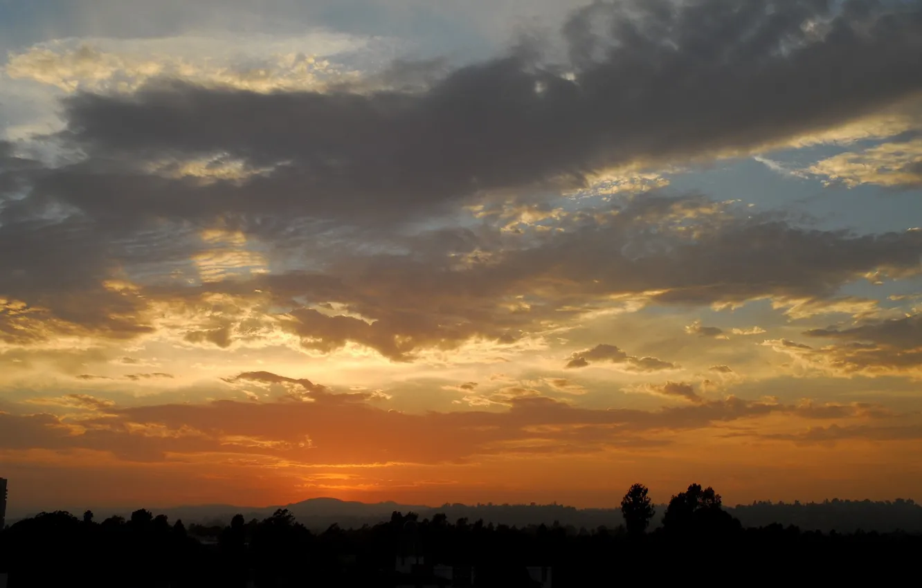 Photo wallpaper forest, sunset, dal