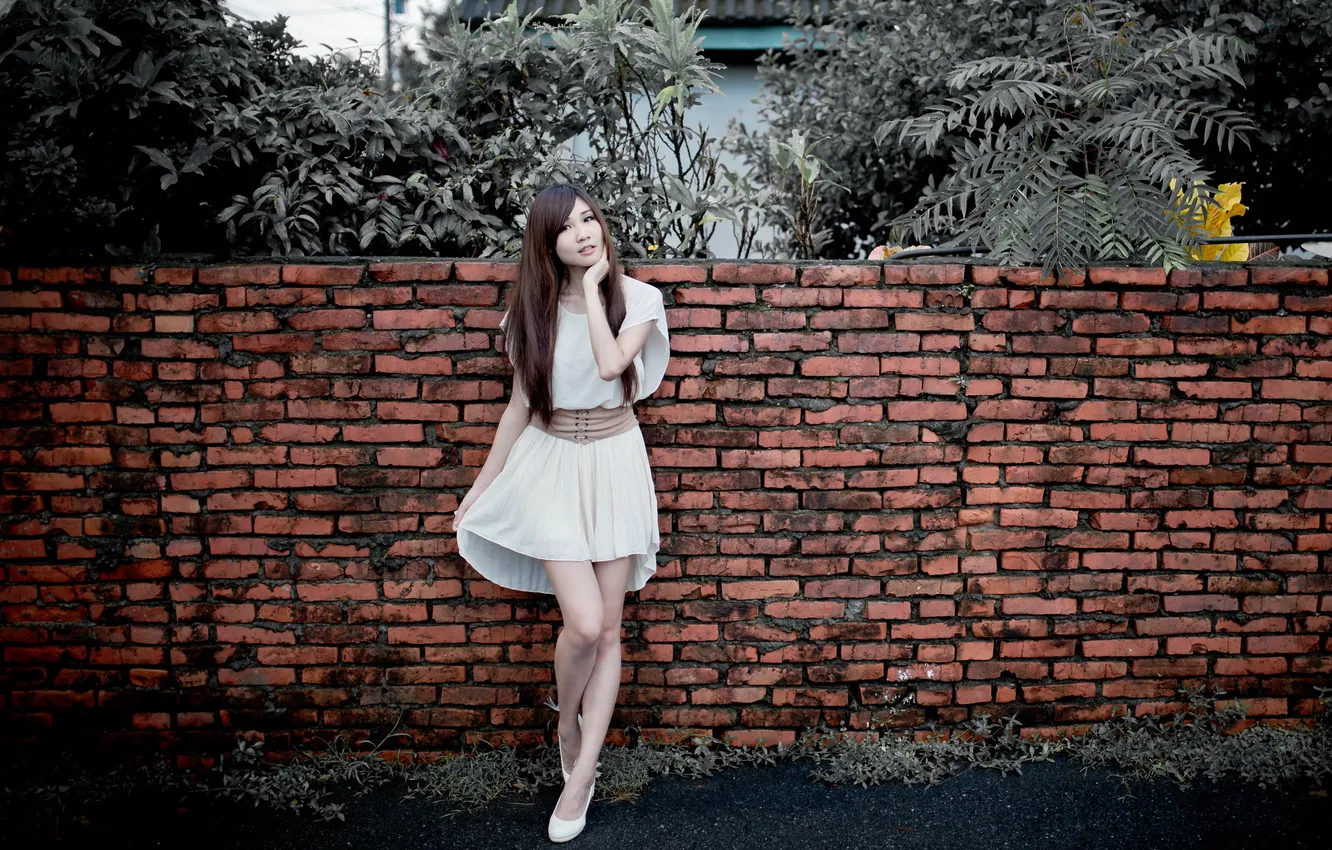 Photo wallpaper girl, the fence, Asian