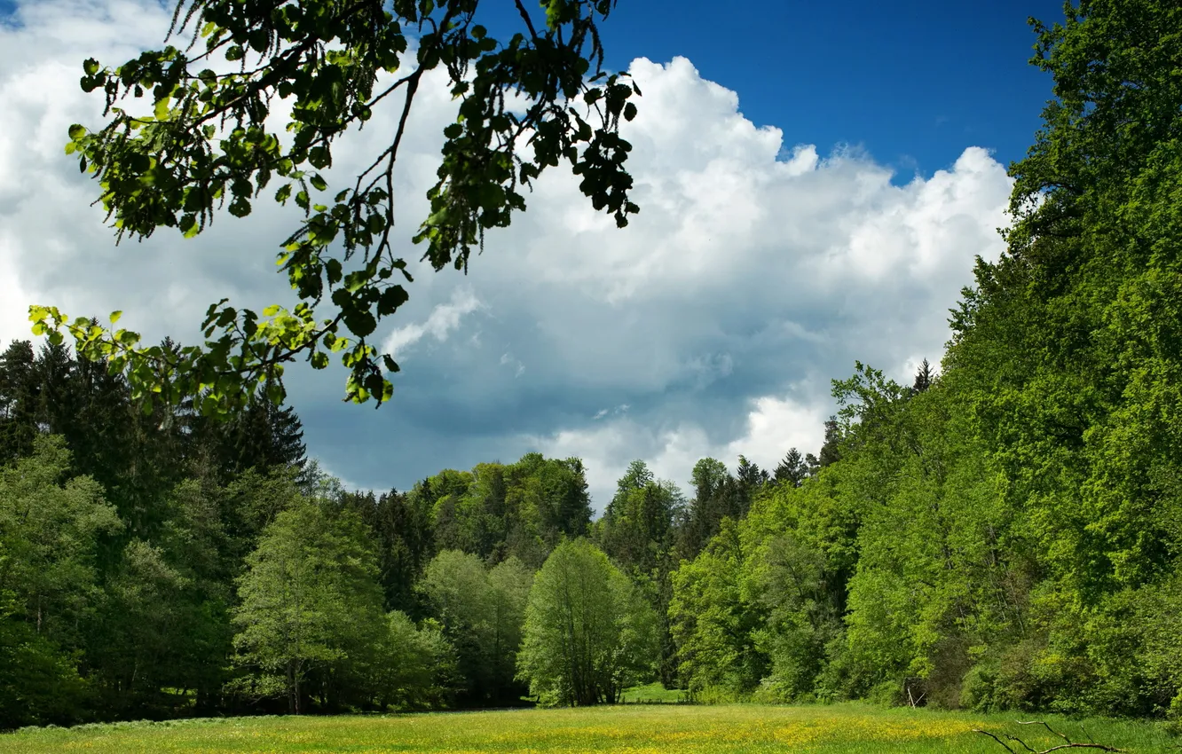 Photo wallpaper landscape, nature, Germany, Bayern, meadow, Leuchtenberg