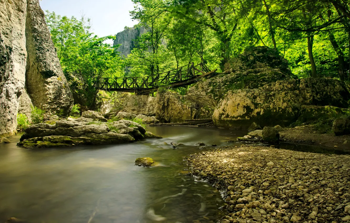 Photo wallpaper forest, trees, mountains, bridge, stones, rocks, river, Bulgaria