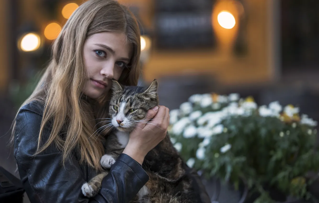 Photo wallpaper cat, cat, look, girl, flowers, face, the city, lights
