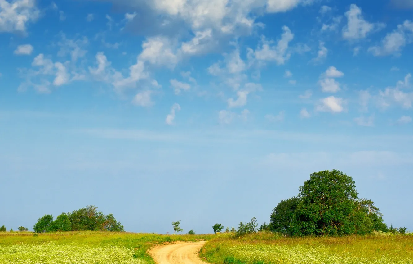 Photo wallpaper road, clouds, trees