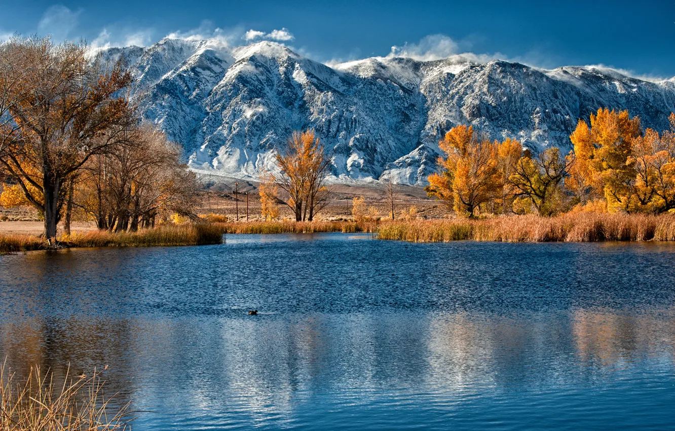 Photo wallpaper autumn, trees, mountains, lake, reed
