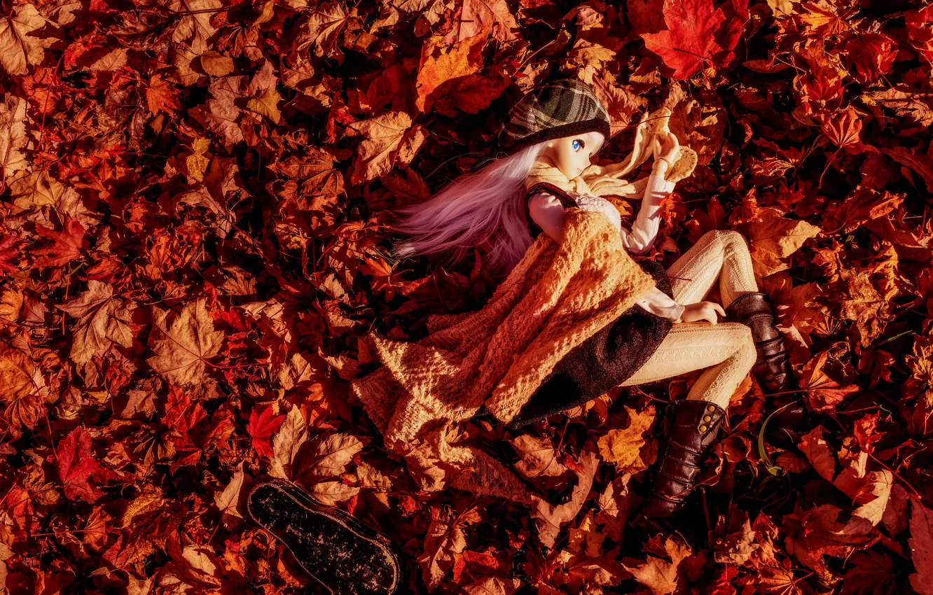 Photo wallpaper autumn, leaves, mood, toy, doll
