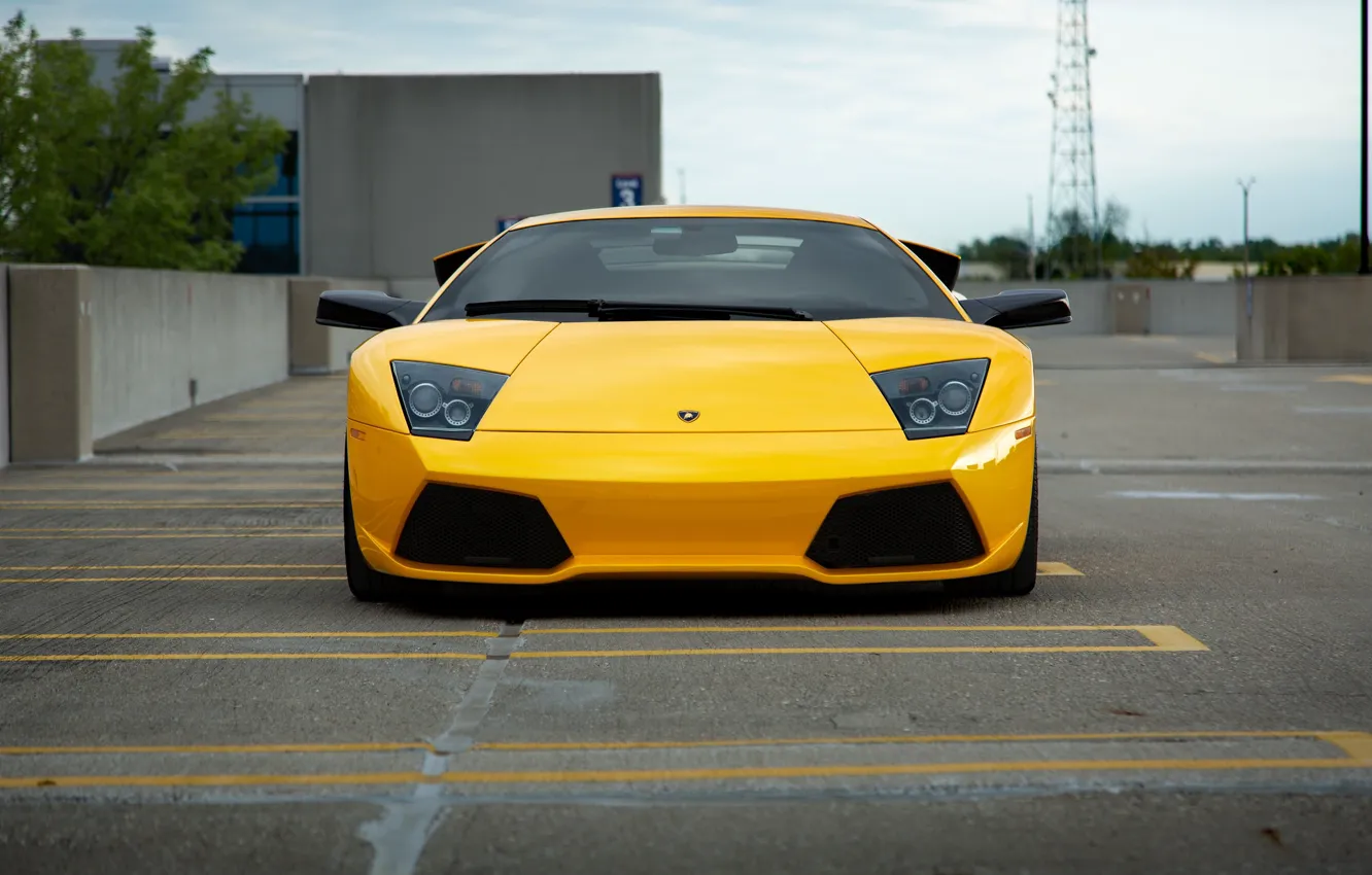 Photo wallpaper Lamborghini, Murcielago, Yellow, LP640