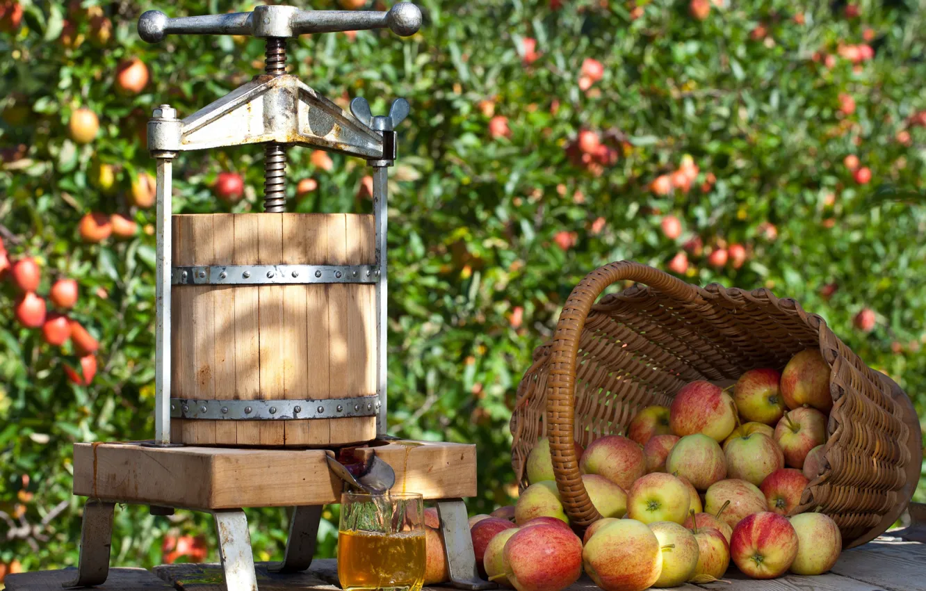 Photo wallpaper glass, apples, honey