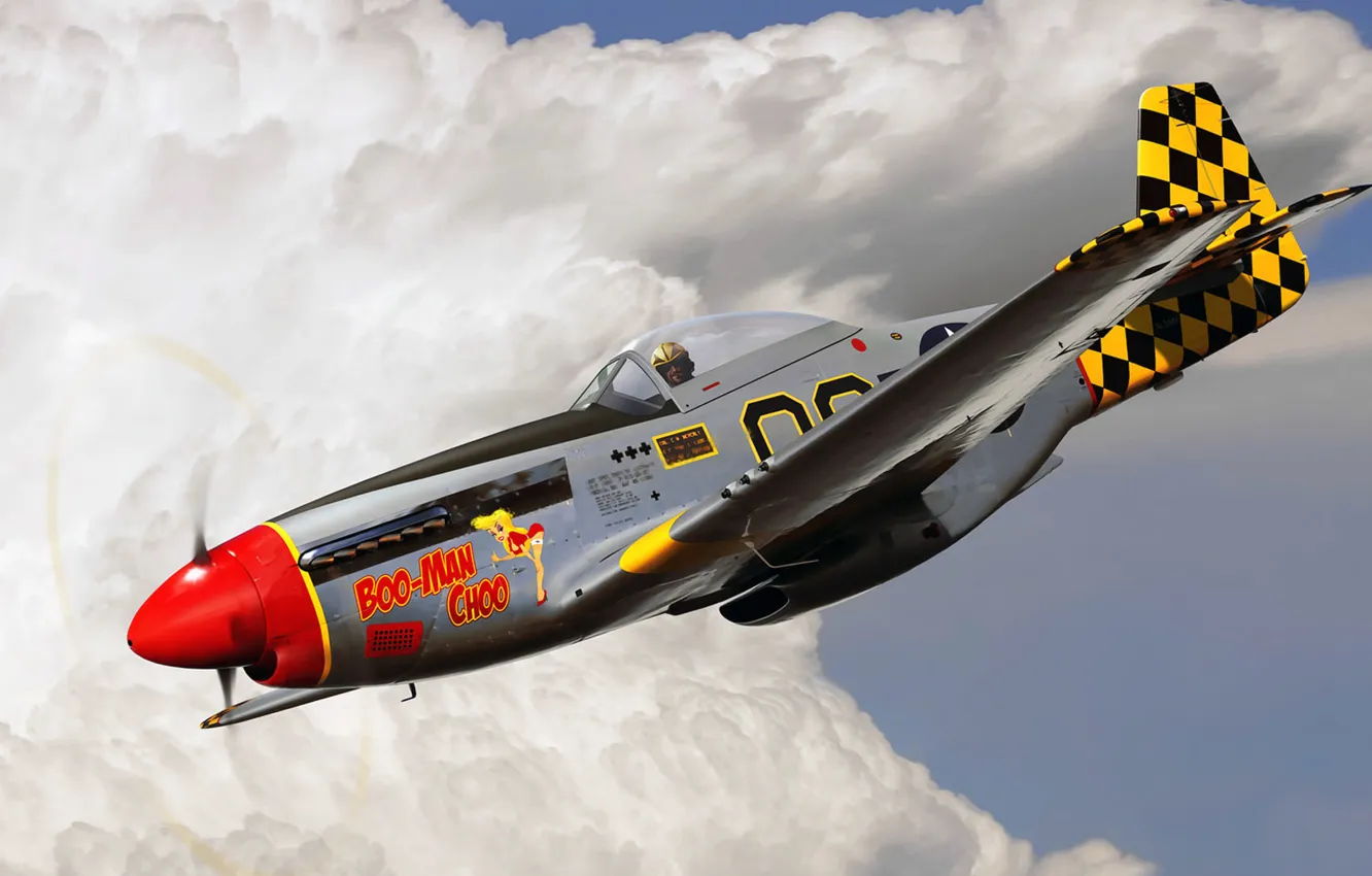 Photo wallpaper figure, Mustang, art, P-51, UNITED STATES AIR FORCE, North American