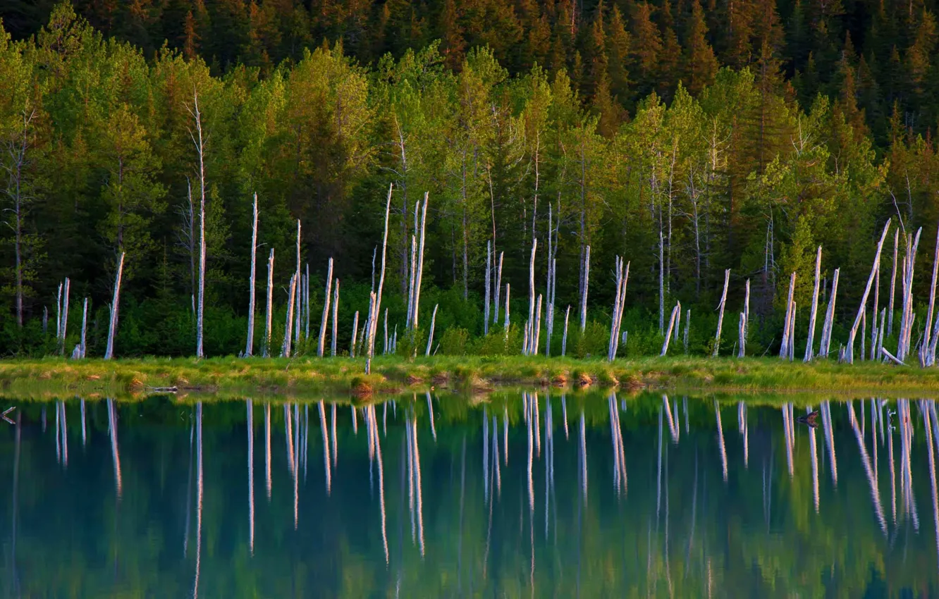 Photo wallpaper Alaska, USA, Chugach National Forest, Portage Lake