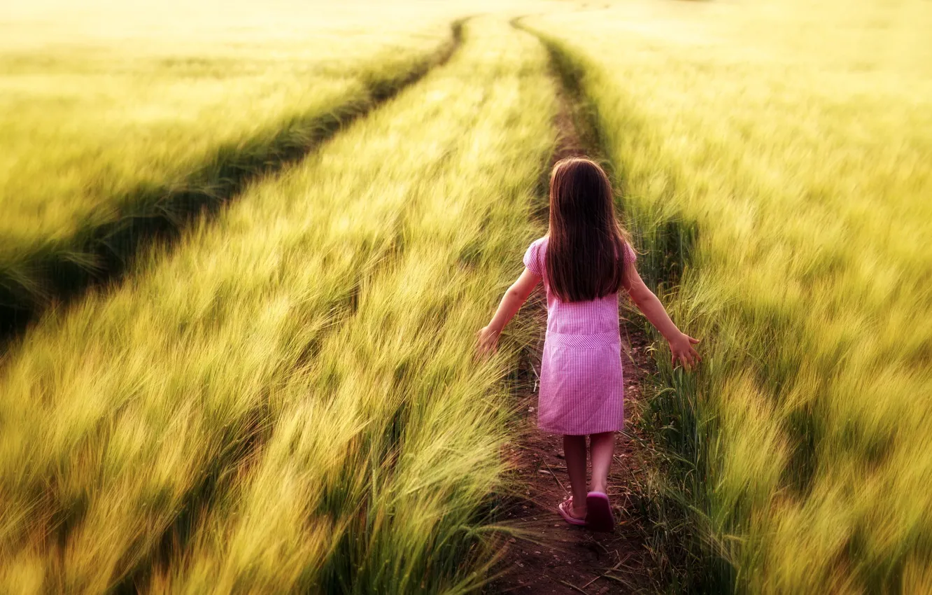 Photo wallpaper field, summer, girl
