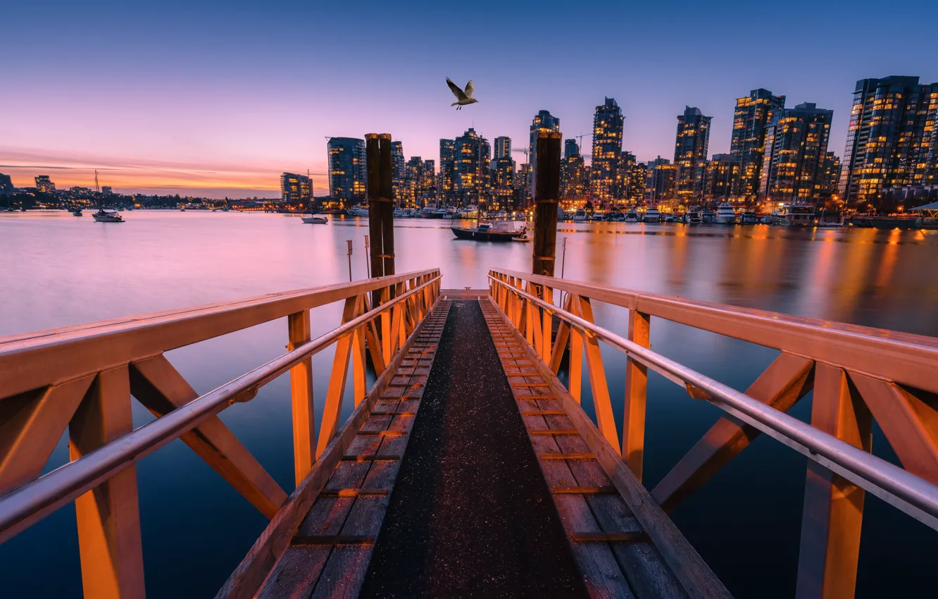 Photo wallpaper the sky, flight, sunset, bridge, the city, lights, bird, shore
