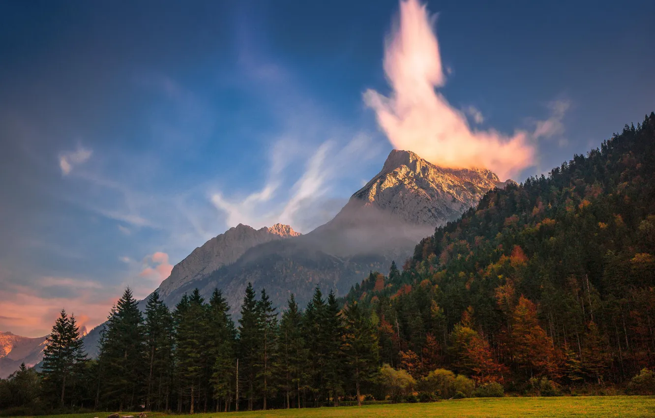 Photo wallpaper forest, clouds, trees, mountains, nature