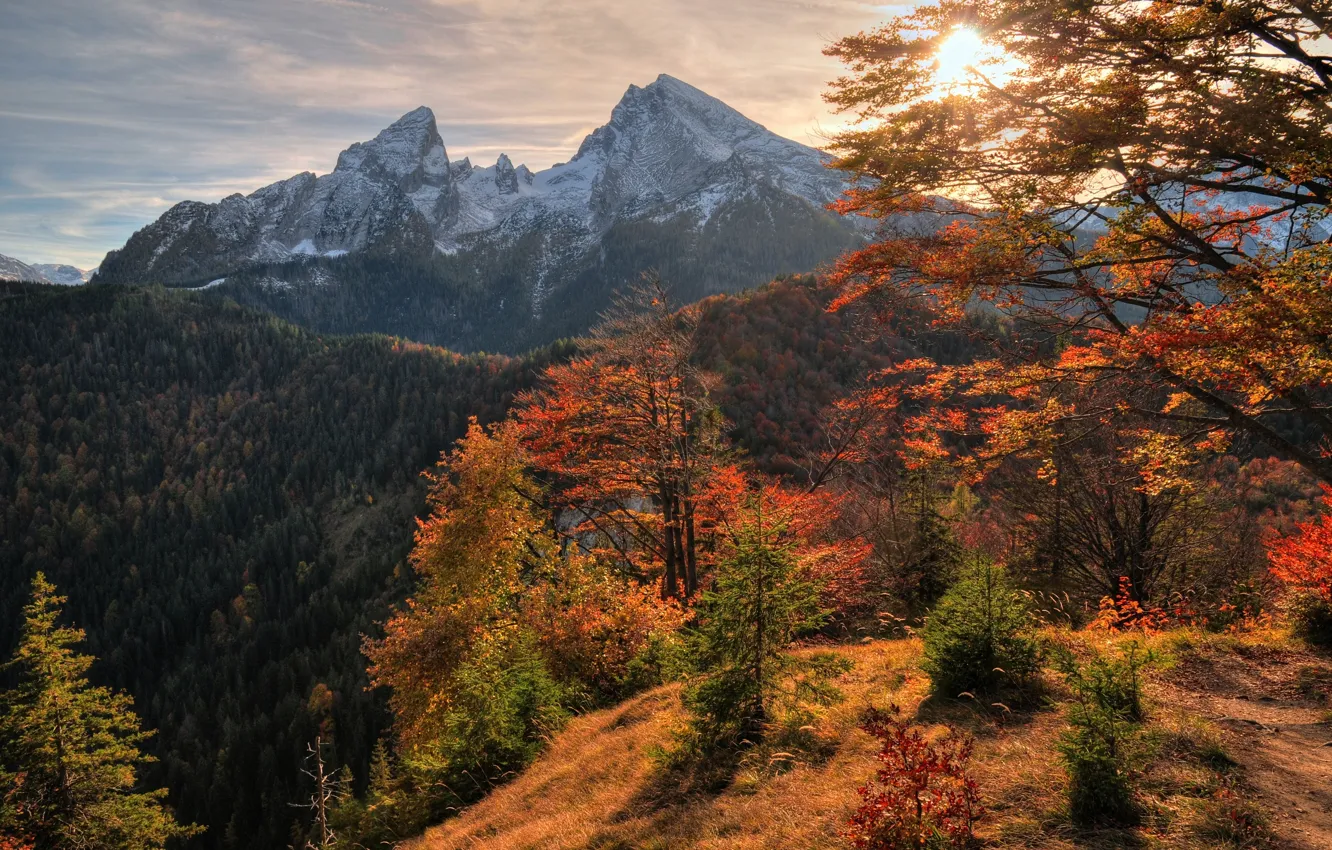 Photo wallpaper autumn, the sky, trees, sunset, mountains, nature, Nature, sky