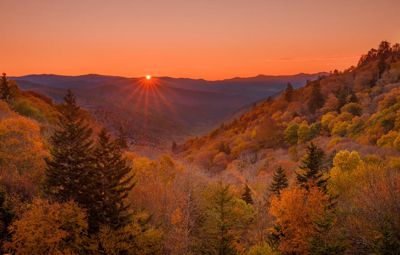 Photo wallpaper autumn, forest, the sky, rays, sunset, mountains