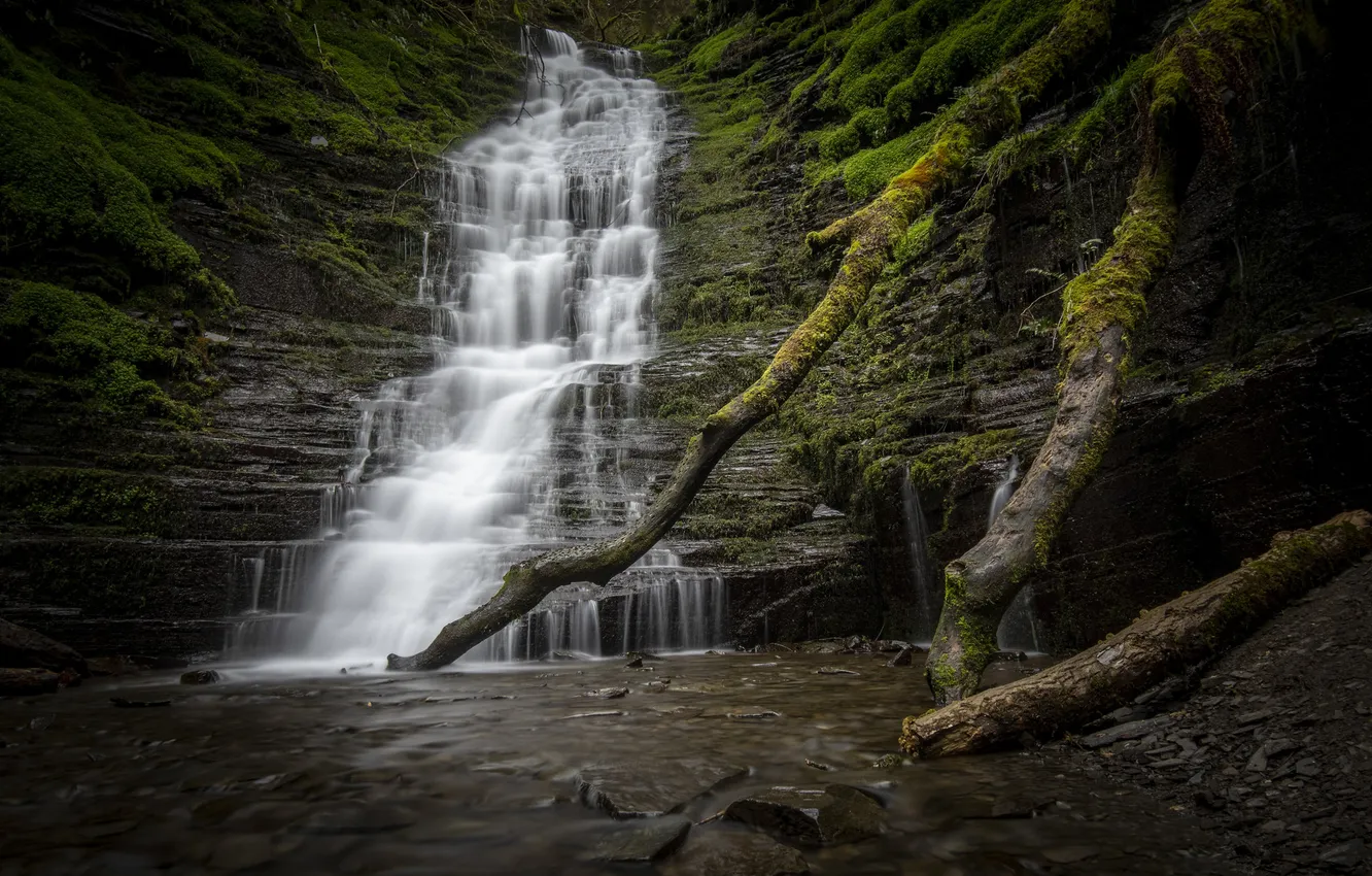 Photo wallpaper forest, river, open, waterfall
