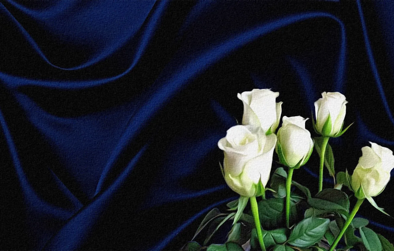Photo wallpaper flowers, the dark background, rendering, collage, figure, picture, canvas, white roses