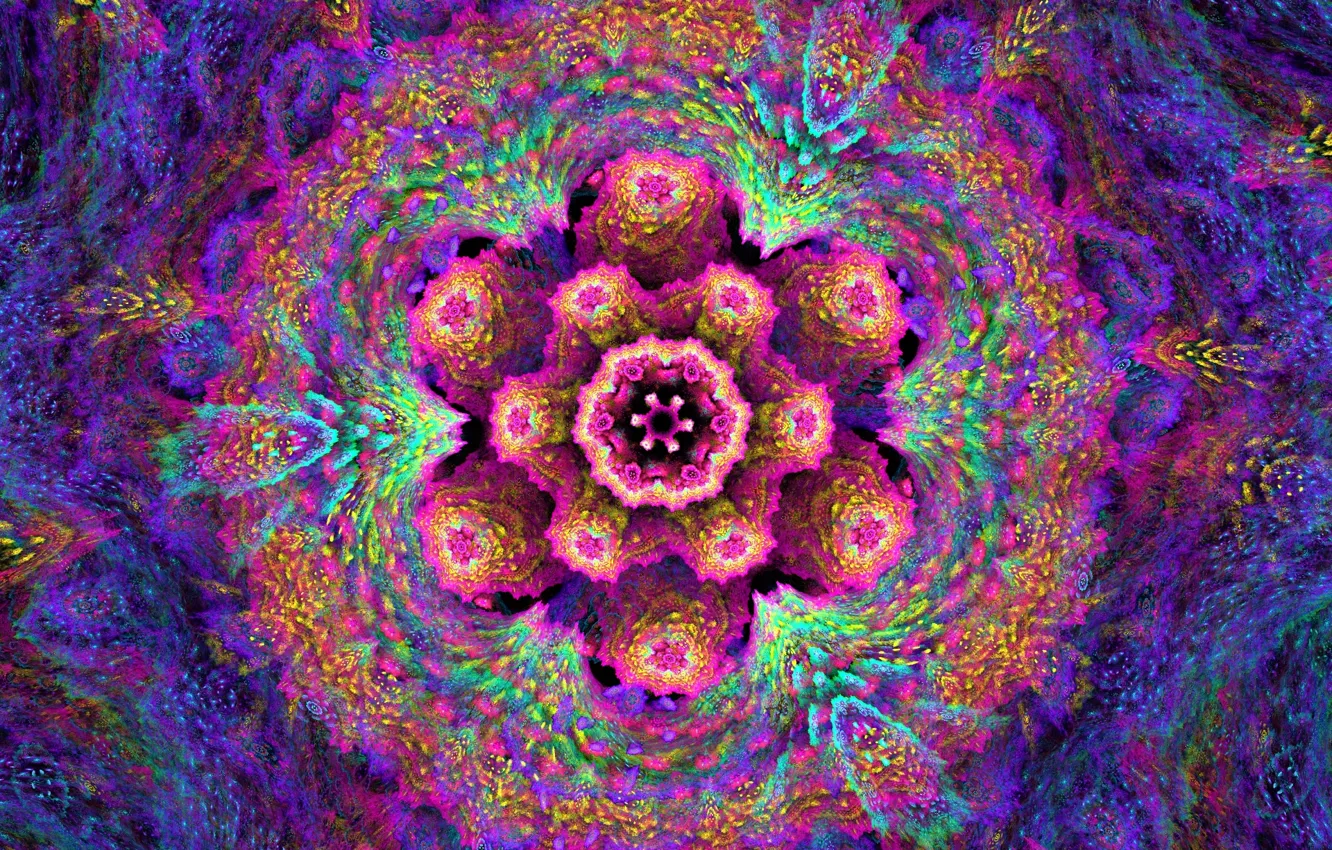 Photo wallpaper abstraction, background, Wallpaper, pattern, figure, fractal, cosmic flower