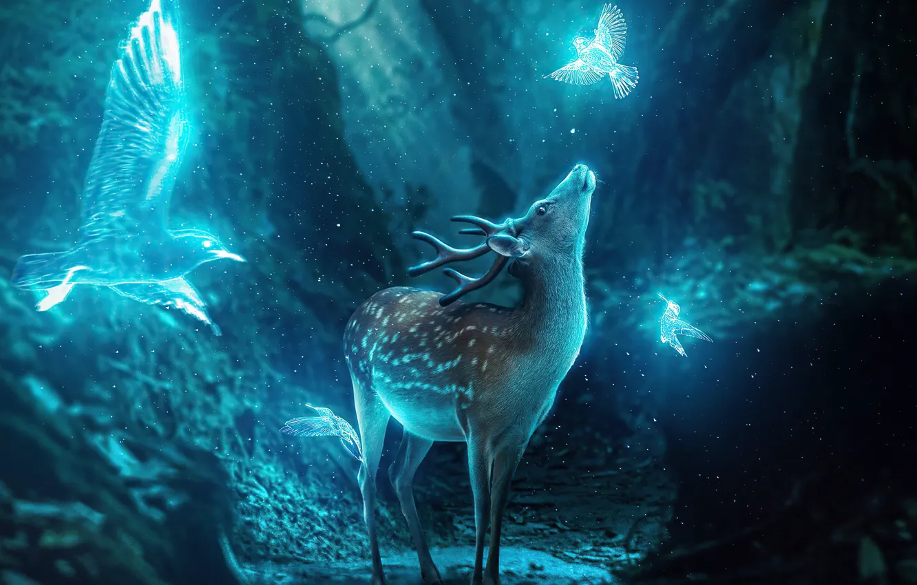 Photo wallpaper animals, birds, deer, antlers