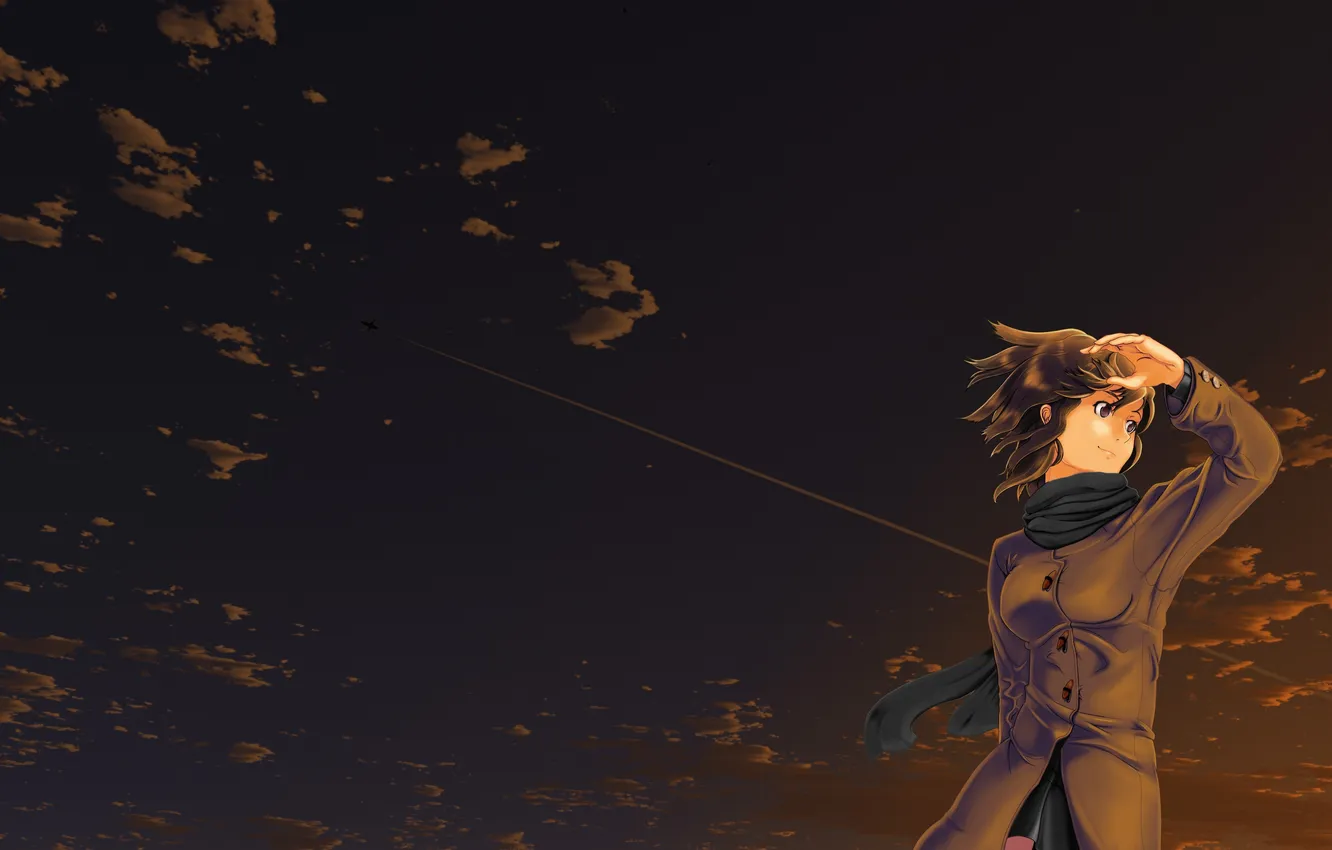 Photo wallpaper the sky, girl, sunset, the plane