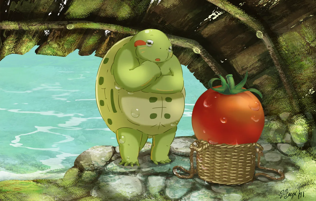Photo wallpaper water, basket, turtle, cherry