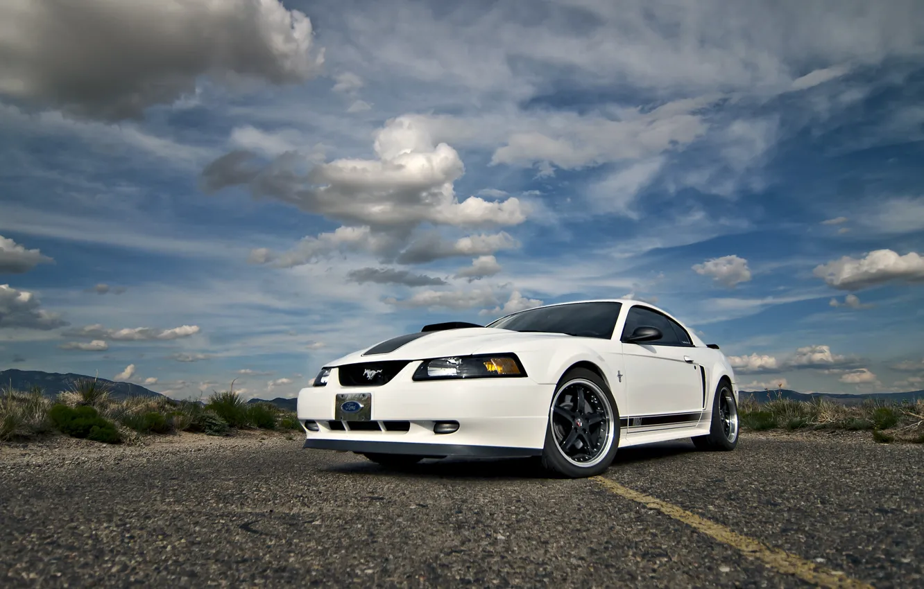 Photo wallpaper Mustang, Ford, white, road, 2004