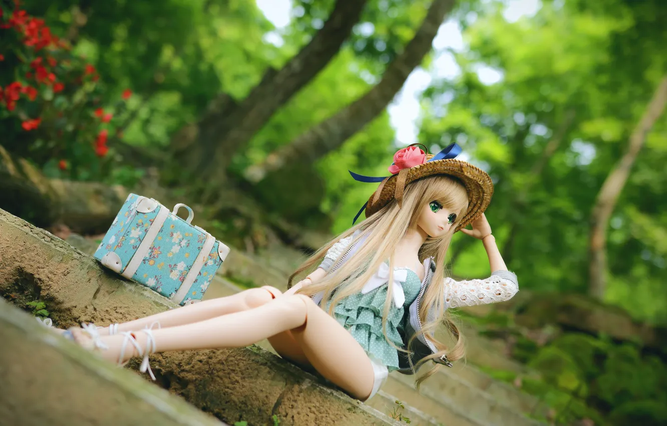 Photo wallpaper girl, doll, suitcase, hat