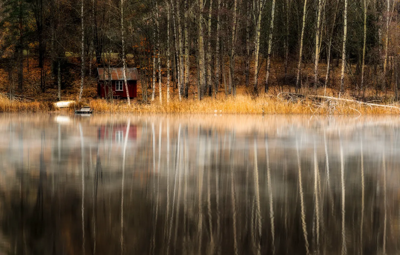Photo wallpaper forest, lake, house